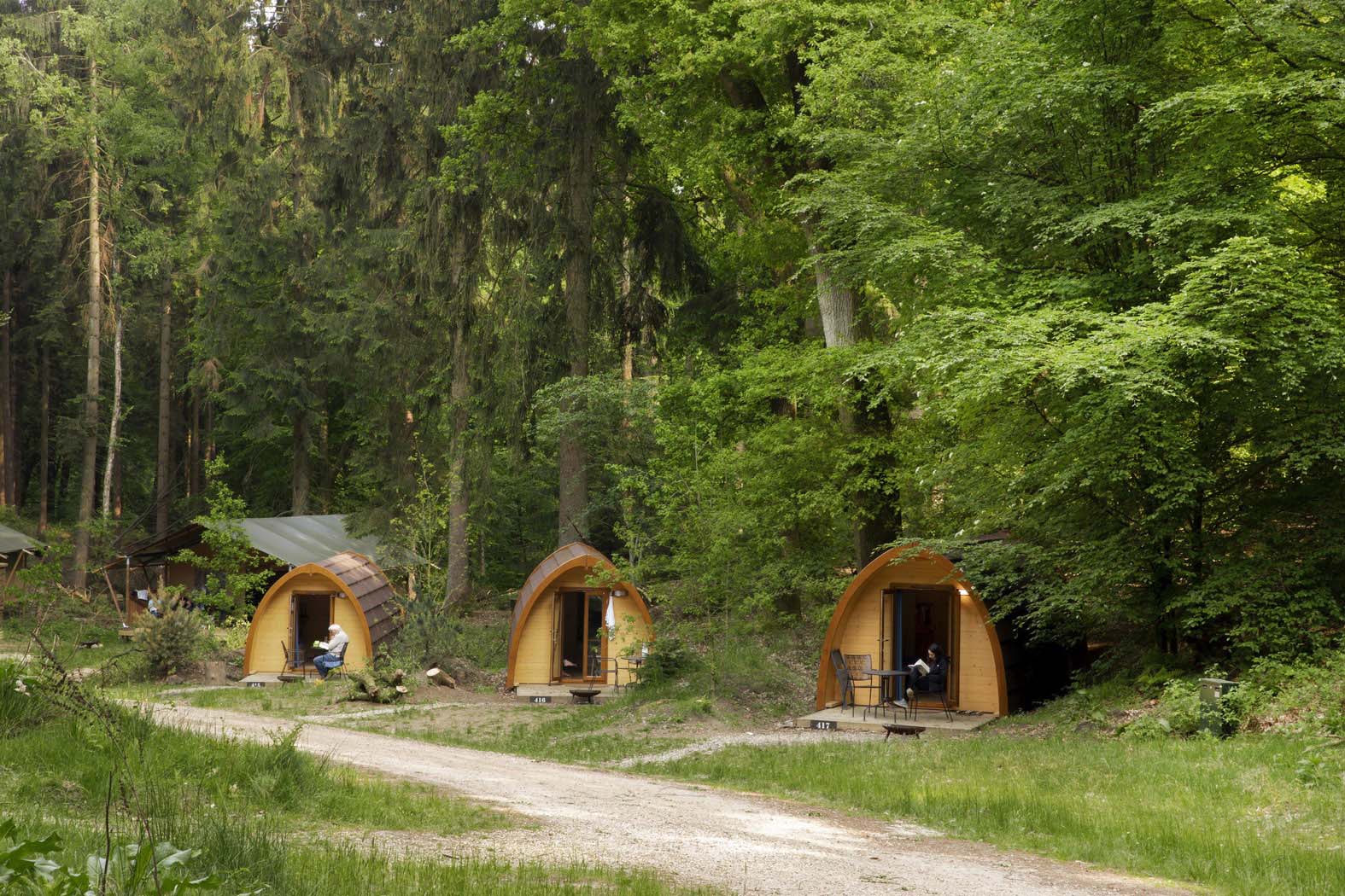 Slapen In Het Bos In Een Boshuisje Veluwe Buitenplaast Beekhuizen 11