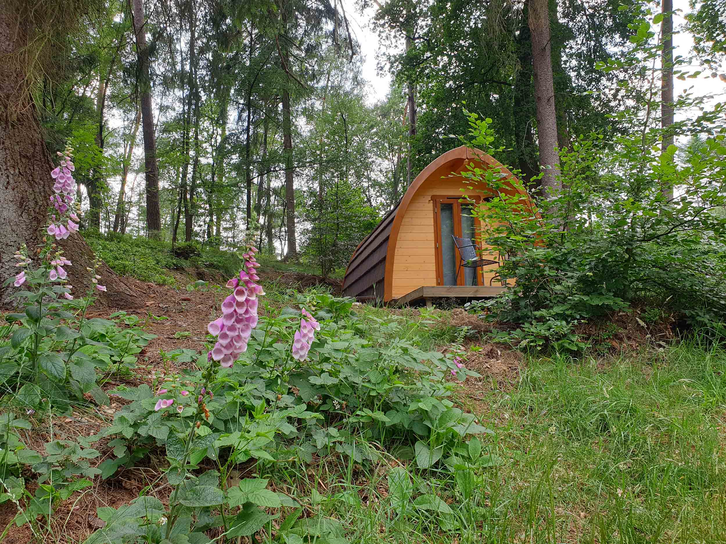 Zowel De Lodgetenten, De Forest Cabins, Als De Pods Zijn Voorzien Van ...